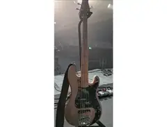 Ange Guitare Custom PJ 5-String