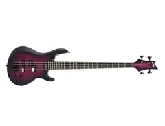 Shijie Guitars DF-4 Bass main image