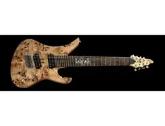 Siggi Braun Roc Guitar main image