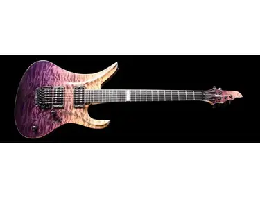 Siggi Braun Raven Guitar