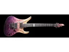 Siggi Braun Raven Guitar main image