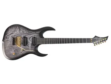 Siggi Braun Icarus TR Guitar