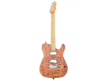 Elegee Tele Guitar