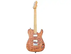 Elegee Tele Guitar main image