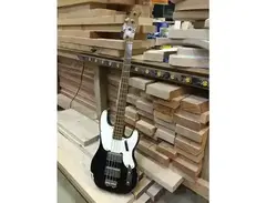RS Guitarworks P-Byrd Series Bass main image