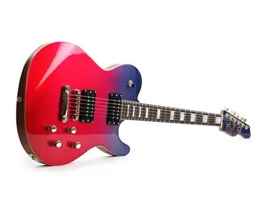 James Tyler Guitars JTG Series M1