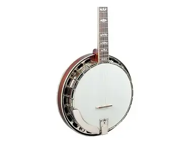 Recording King RK-ELITE-75 The Elite Flying Eagle Resonator Banjo