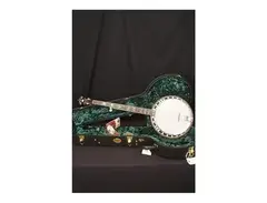 Recording King RK-ELITE-76 The Elite Hearts and Flowers Resonator Banjo