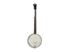Recording King RK-OT25 Madison Old-Time Banjo main image
