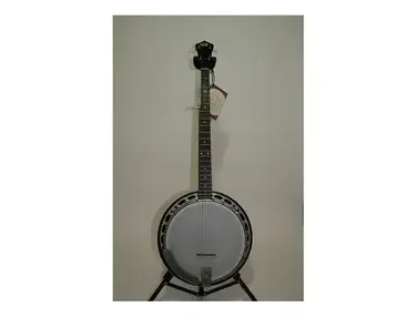 Recording King RK-R15 Madison Rambler Resonator Banjo