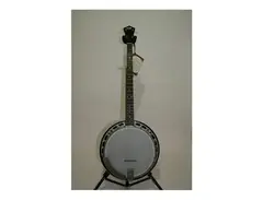 Recording King RK-R15 Madison Rambler Resonator Banjo main image
