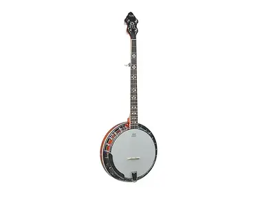 Recording King RK-R20 Songster 5-String Tone Ring Banjo