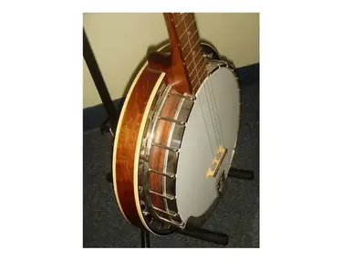 Recording King RK-R25 Madison Tube and Plate Resonator Banjo