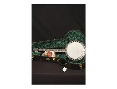 Recording King RK-R80 Professional Resonator Banjo