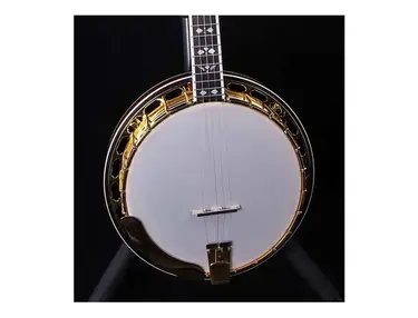Recording King RK-R82 Professional Resonator Banjo