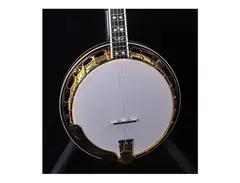 Recording King RK-R82 Professional Resonator Banjo main image