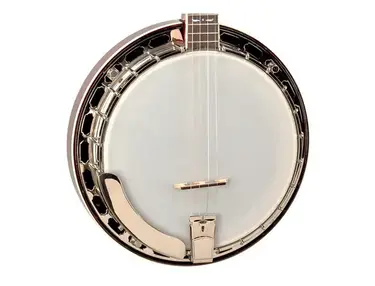 Recording King RK-T36 Madison Tenor Banjo