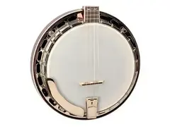 Recording King RK-T36 Madison Tenor Banjo main image