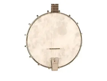 Recording King RKT-05 Dirty 30s Open Back Tenor Banjo