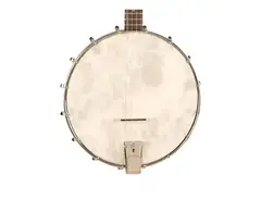 Recording King RKT-05 Dirty 30s Open Back Tenor Banjo main image