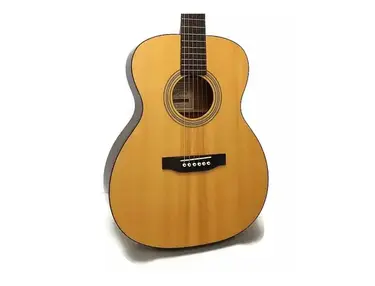 Recording King RO-328 - What To Know & Where To Buy | Equipboard