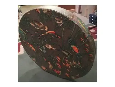 Remo Ocean Drum 12"