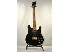 Rickenbacker 250 El Dorado main image