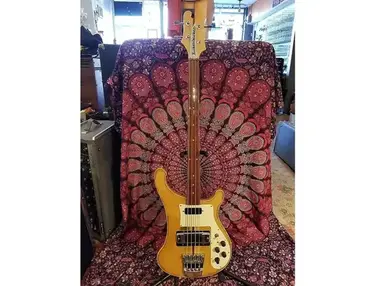 Rickenbacker 4000FL Fretless