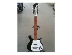 Rickenbacker Combo 425 with Vibrato main image