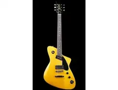 Rivolta Guitars Forma Sferata main image