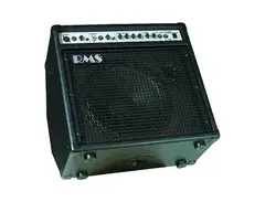 RMS RMSKB80 1x12" 80-Watt Keyboard Amp with Built-In Tilt main image