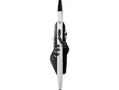 Roland AE-20 Aerophone Digital Wind Instrument