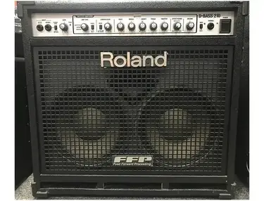 Roland D-Bass 210  2-Channel 400-Watt 2x10" Bass Combo