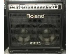 Roland D-Bass 210  2-Channel 400-Watt 2x10" Bass Combo main image