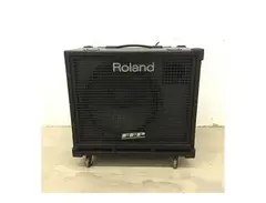 Roland D-BASS115X 1x15" Powered Satellite Cabinet main image