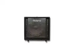 Roland DB-700 D-Bass 2-Channel 250-Watt 1x15" Bass Combo main image