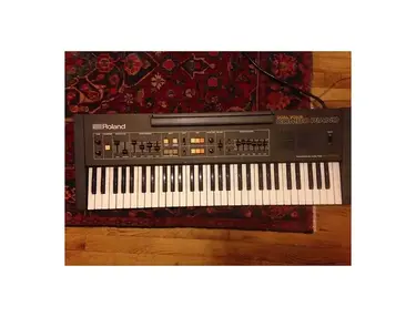 Roland EP-6060 61-Key Dual Voice Combo Piano
