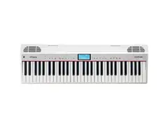 Roland GO-61P-A GO:PIANO with Alexa Built-in 61-Key Digital Piano main image