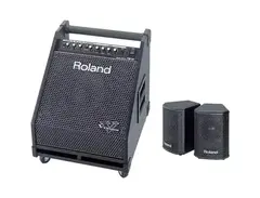 Roland PM-30 2.1 Channel Personal Drum Amplifier for V-Drums main image