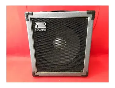 Roland Cube 100 Bass Amp - What To Know & Where To Buy | Equipboard