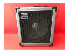 Roland SCB-100 Super Cube 100-Watt 1x15" Bass Combo main image