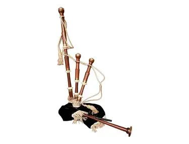 Roosebeck BGCCRB Full-Size Sheesham Chalice-Style Bagpipe Set