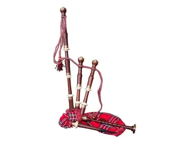Roosebeck BGCCRT Full-Size Sheesham Chalice-Style Bagpipe Set