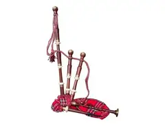 Roosebeck BGCCRT Full-Size Sheesham Chalice-Style Bagpipe Set main image