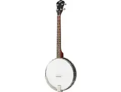 Rover RB-20T Student 4-String Tenor Banjo main image