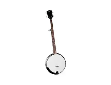 Rover RB-30 Student 5-String Openback Banjo