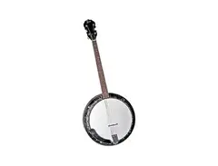 Rover RB-45T Student 4-String Tenor Resonator Banjo main image