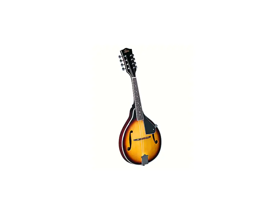 Rover RM-25S Student A-Style Mandolin with Solid Spruce Top - What To ...