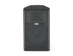 Samson Live! 615 2-Way 250w Active 15" Speaker main image