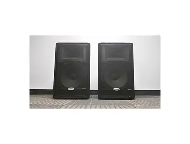 Samson RS15 HD Resound Series 2-Way 300w Passive 15" PA Speaker